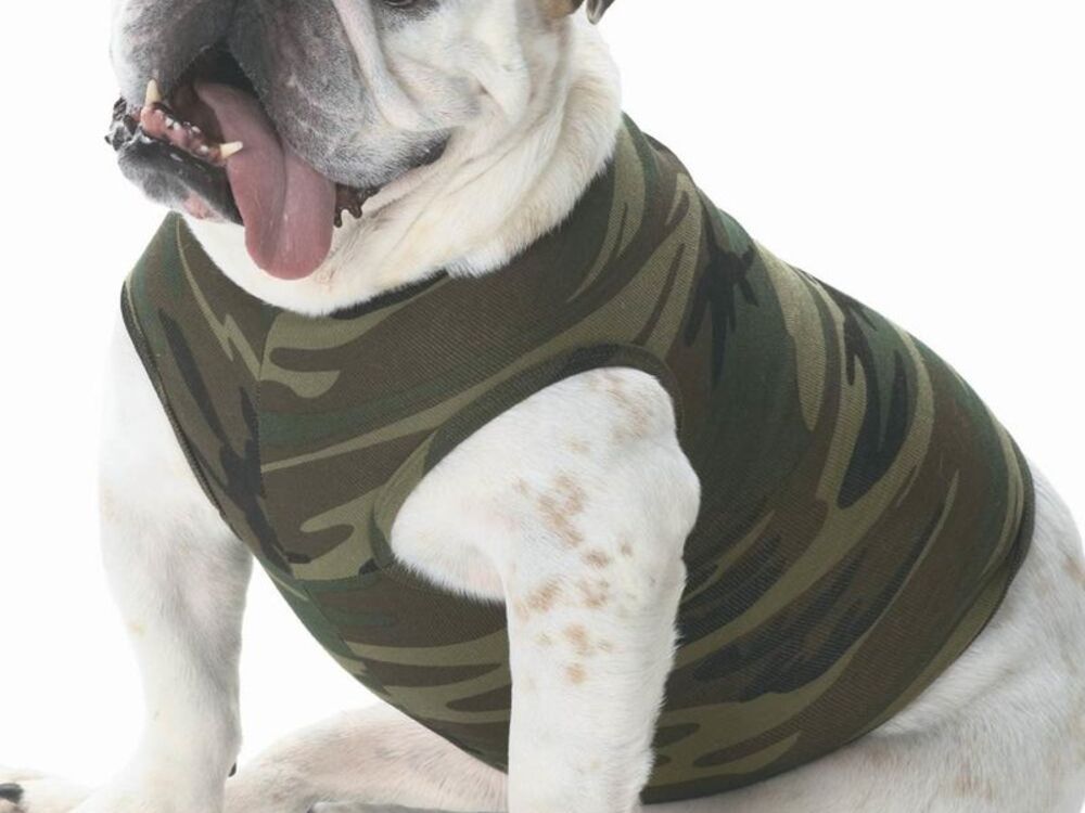 Pet Wear Thumbnail